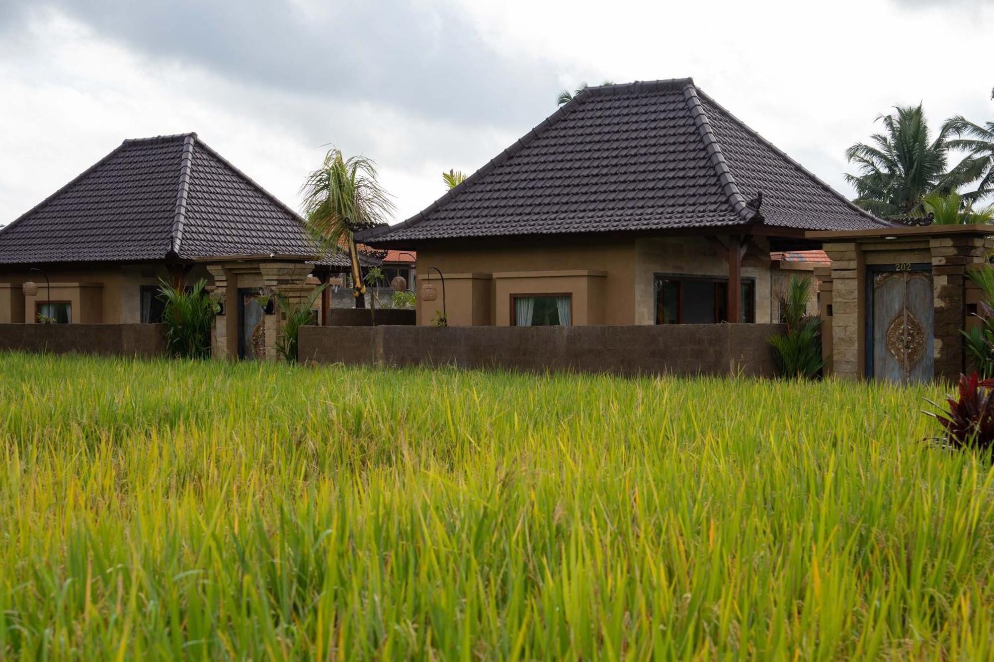 Sawah Sebatu Villa Убуд Екстериор снимка
