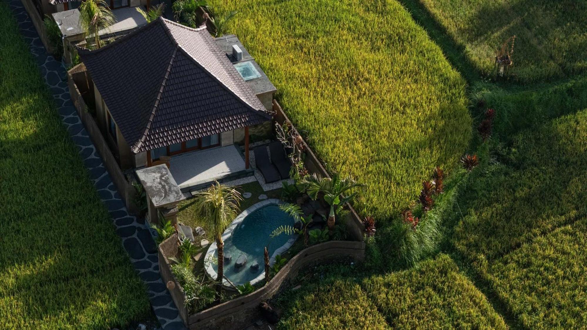 Sawah Sebatu Villa Убуд Екстериор снимка