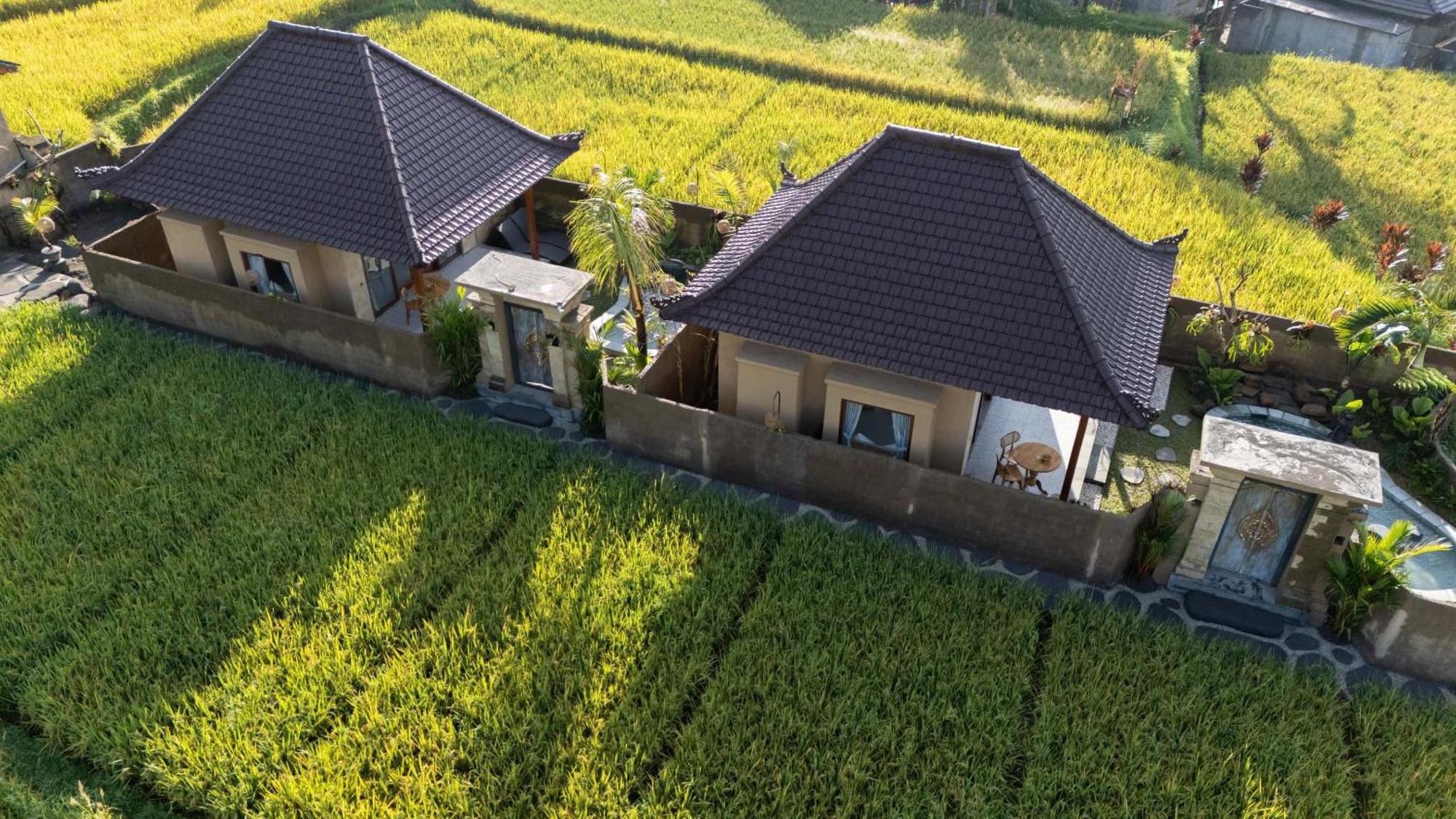Sawah Sebatu Villa Убуд Екстериор снимка
