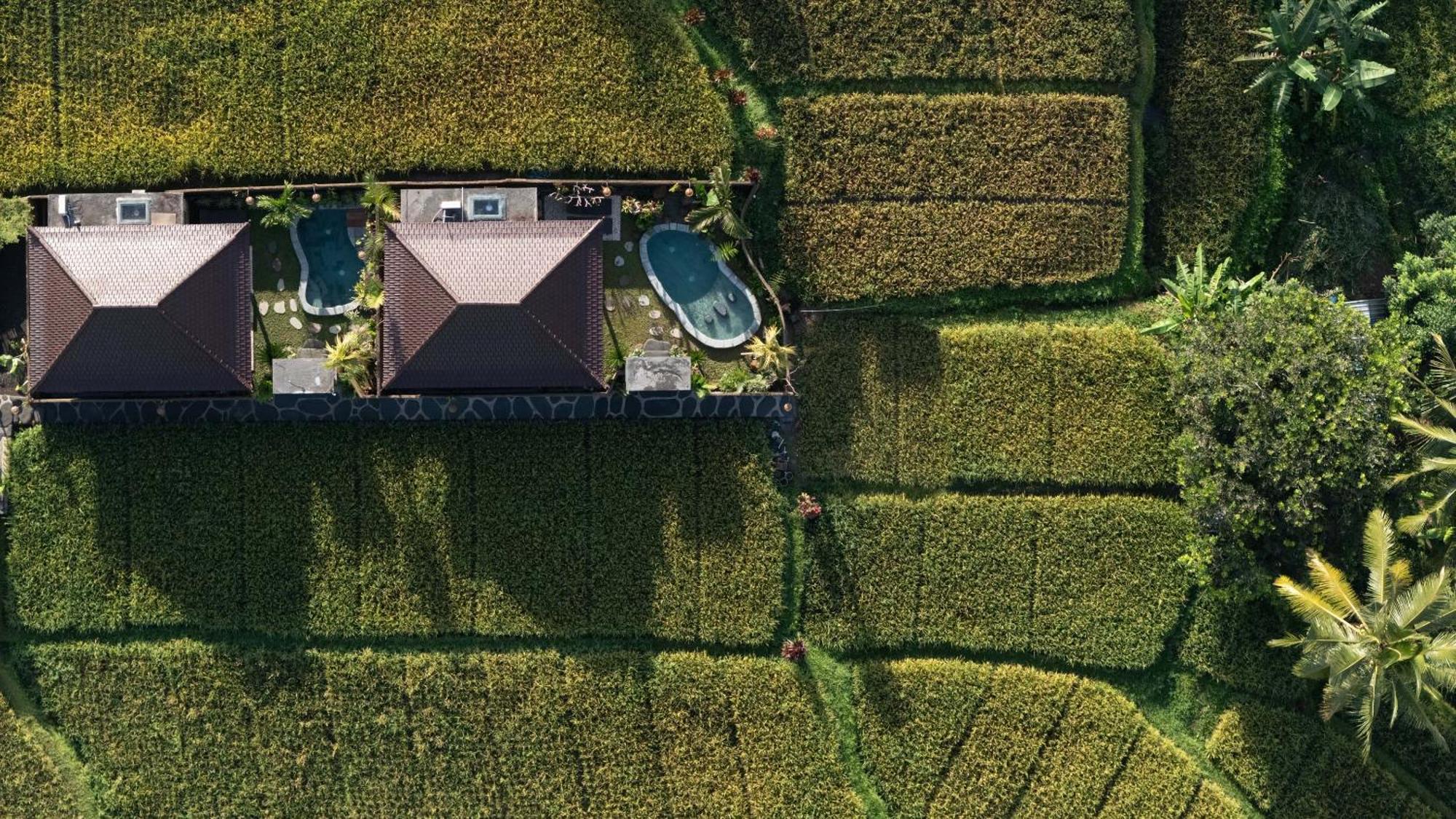 Sawah Sebatu Villa Убуд Екстериор снимка