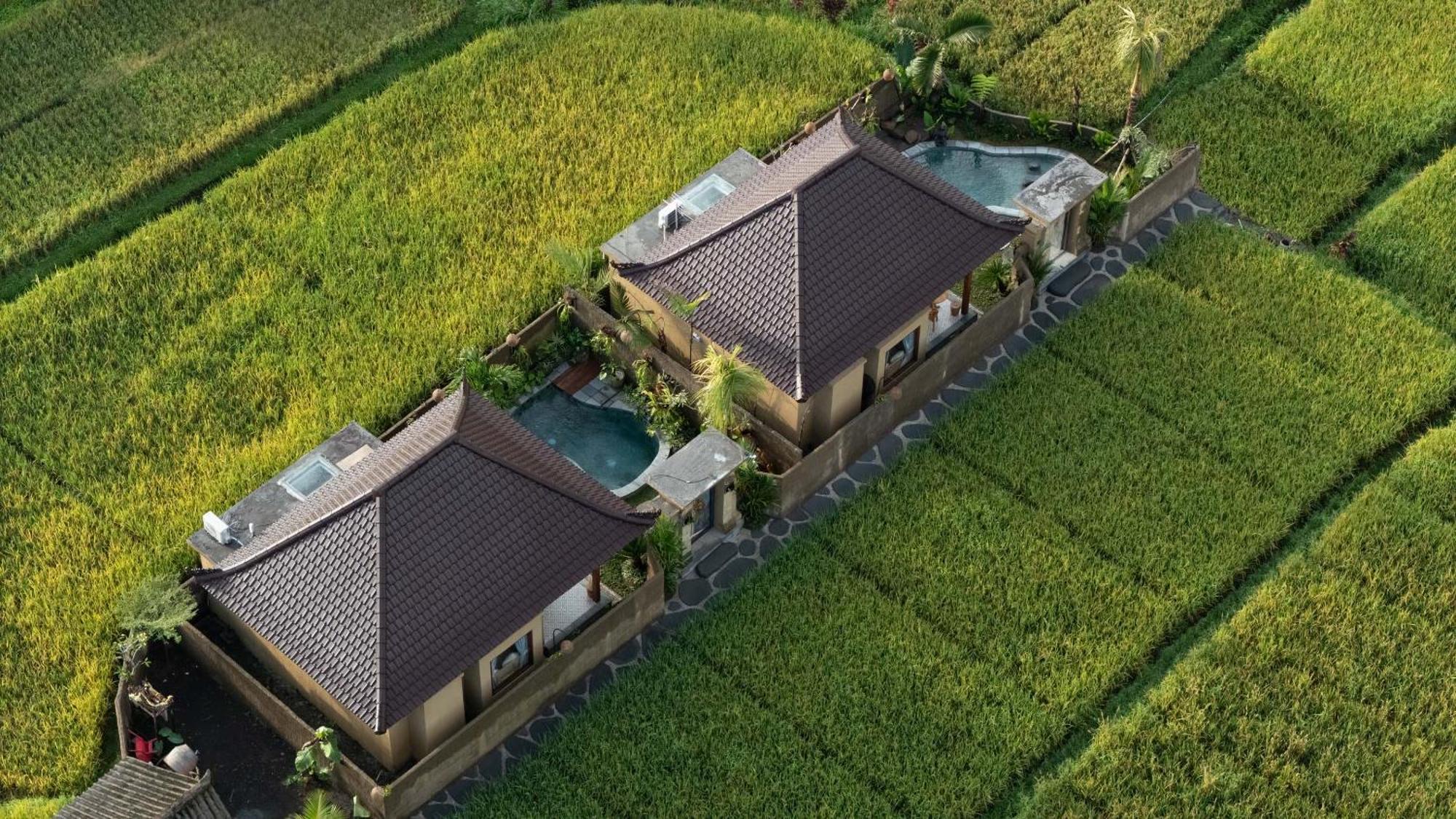 Sawah Sebatu Villa Убуд Екстериор снимка